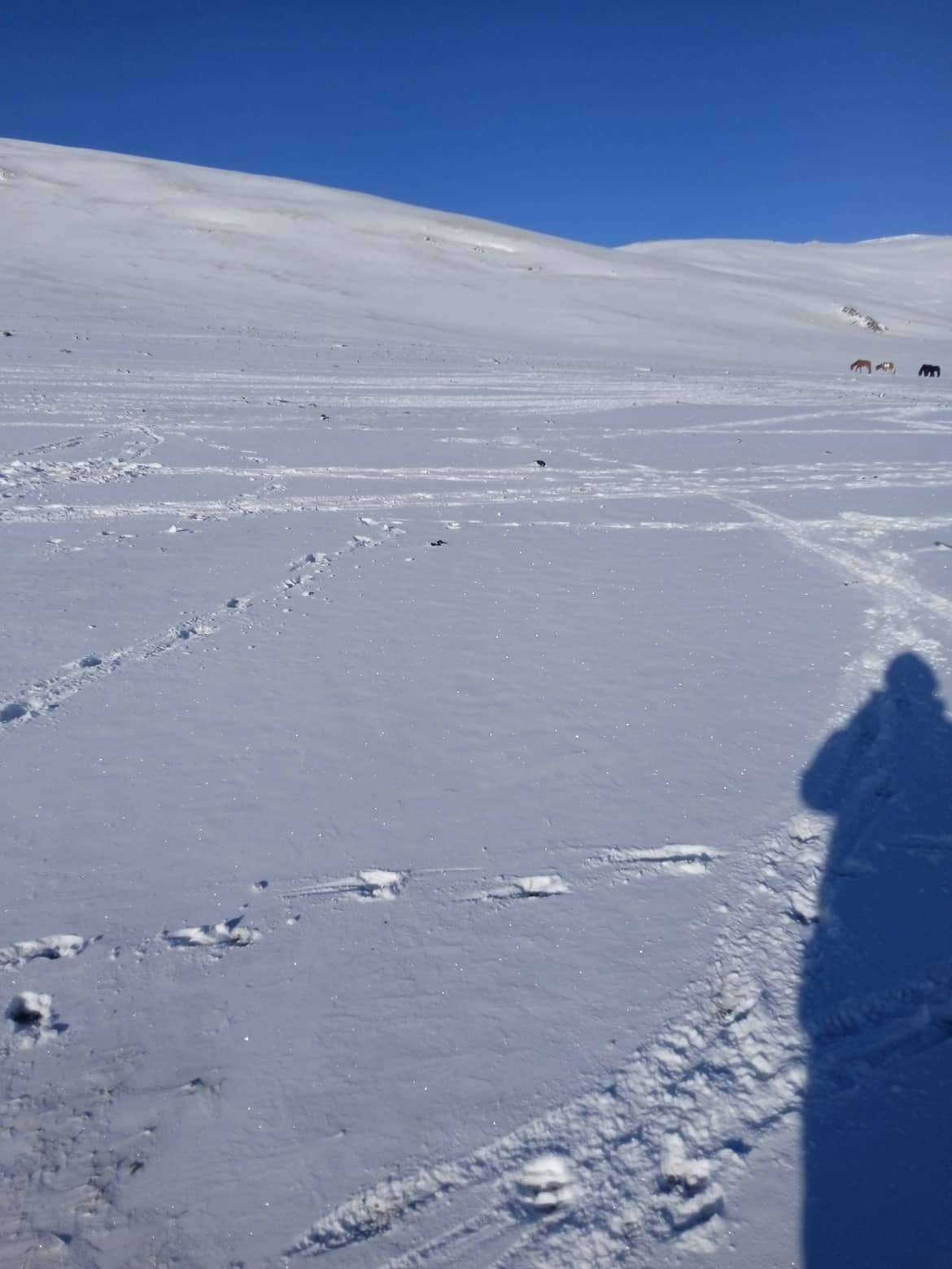 Schnee im April auf den Höhenweiden im Altai | Open Hearts for Mongolia