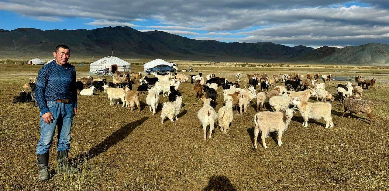 Hero image Mongolia